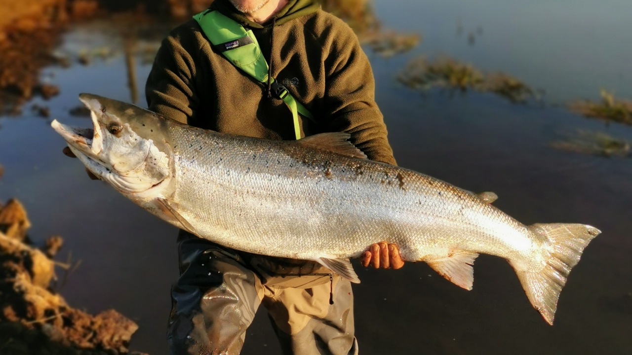 Brede Å lystfiskerforening