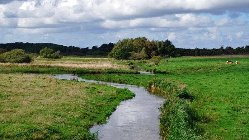 Holme Å - zone 6, Starup Fiskeriforening